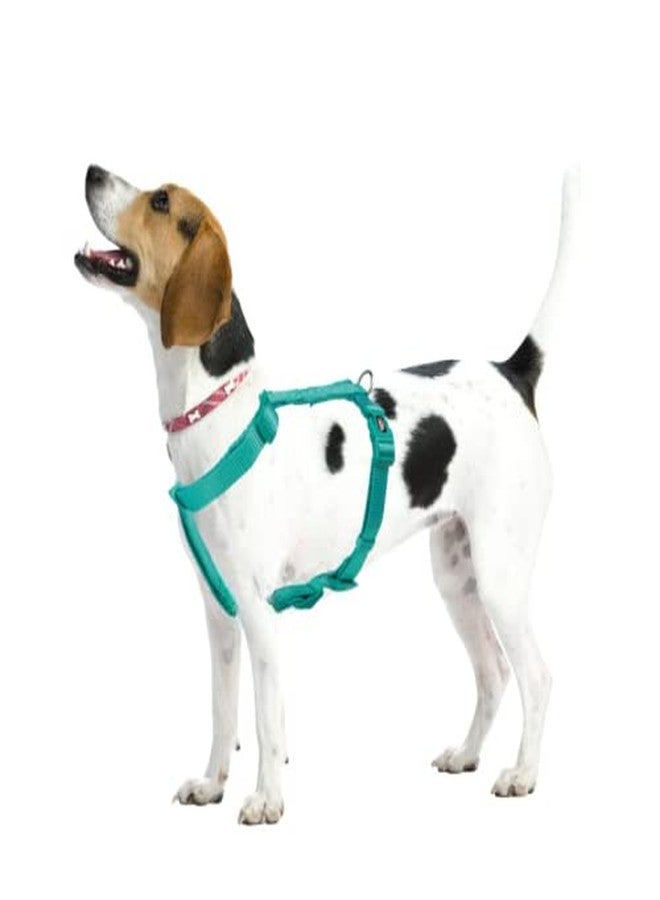 تريكسي حزام تريكسي المميز للرحلات للكلاب مصنوع من حشوة من الصوف، قابل للتعديل، وخفيف الوزن، حلقة D قوية تحافظ على الحزام والمقود في مكانهما (صغير، محيطي) - Image 2